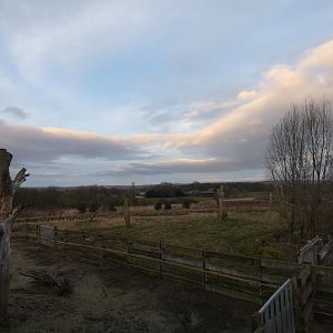 Black rhino paddock at dusk