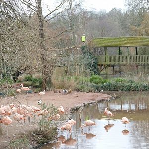 Goodbye Boardwalk, 27 January 2022