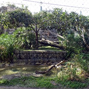 Jan. 2022 - Range of the Jaguar - Left Jaguar Exhibit