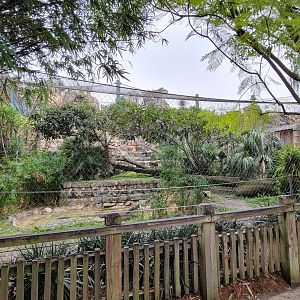 Jan. 2022 - Range of the Jaguar - Left Jaguar Exhibit