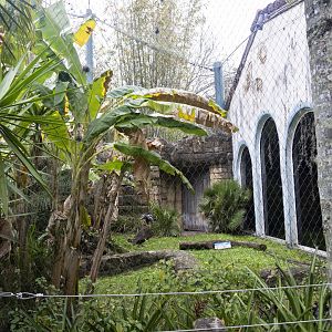 Jan. 2022 - Range of the Jaguar - Right Jaguar/Black-finned Pacu Exhibit