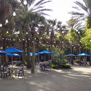 Jan. 2022 - Range of the Jaguar - Courtyard