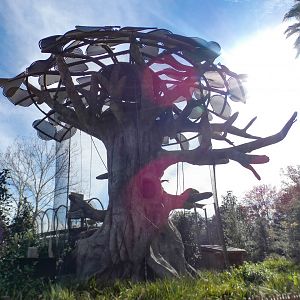 Jan. 2022 - African Forest - Kapok Tree Exhibit