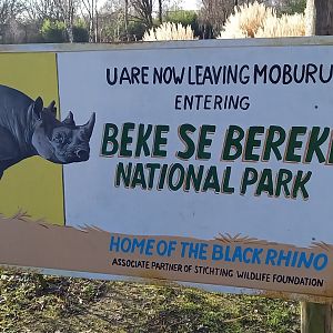 Entering the new Black rhino-area