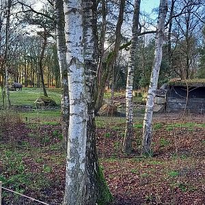 Second Black rhino enclosure ( female enclosure )