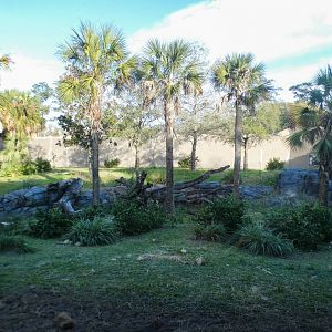 Jan. 2022 - African Forest - Half Acre Gorilla Exhibit - Right View