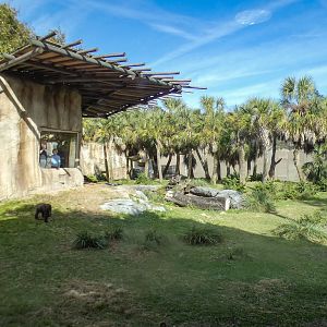 Jan. 2022 - African Forest - Half Acre Gorilla Exhibit