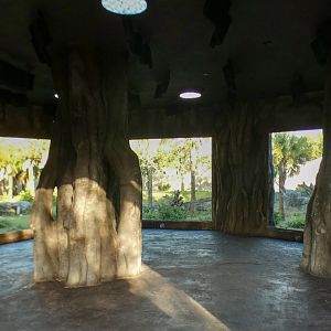Jan. 2022 - African Forest - Gorilla Shelter Viewing