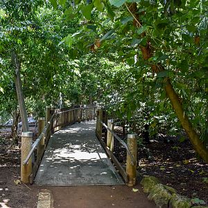 Walkthrough Aviary Interior