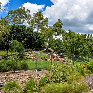 Rock Wallaby Enclosure