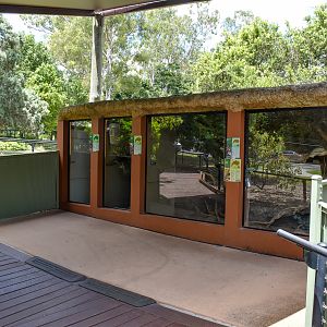 Python and Lizard Enclosures