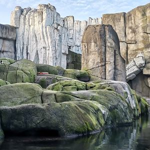 Polar Bear exhibit, Eismeer