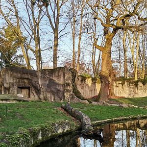 Kamchatka Brown Bear exhibit