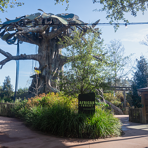Jan. 2022 - African Forest - Entrance