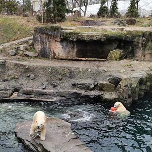 Yukon Bay, Second Polar Bear exhibit