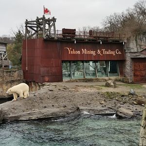 Yukon Bay, Polar Bear exhibit