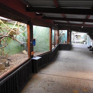 Marmoset, Tamarin and Mantled Guereza Enclosures