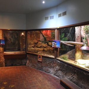 Savannah Monitor (Varanus exanthematicus) and Burmese Python (Python bivittatus) Enclosures