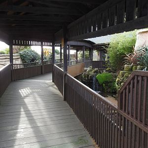 Cape Porcupine (Hystrix africaeaustralis) and Meerkat (Suricata suricatta) Enclosure 5
