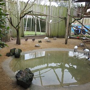 Waterbird Aviary 2