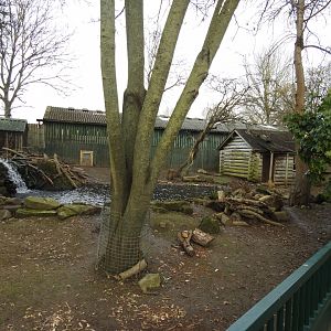 North American Beaver (Castor canadensis) and Capybara (Hydrochoerus hydrochaeris) Enclosure 2