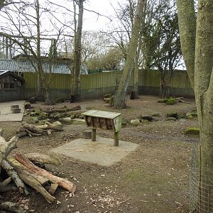 North American Beaver (Castor canadensis) and Capybara (Hydrochoerus hydrochaeris) Enclosure 3