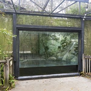 Jan. 2022 - Wild Florida - Alligator Snapping Turtle Exhibit