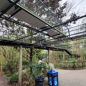 Jan. 2022 - Wild Florida - Bobcat Overhead System