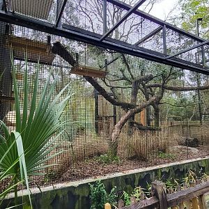 Jan. 2022 - Wild Florida - Bobcat Exhibit