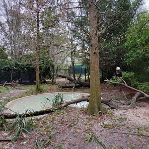 Jan. 2022 - Wild Florida - Bald Eagle Exhibit