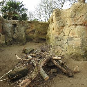 Black-Tailed Prairie Dog (Cynomys ludovicianus) Enclosure
