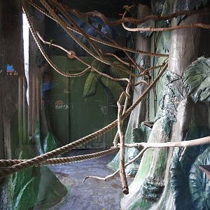 Rainbow/Coconut Lorikeet Indoor Enclosure