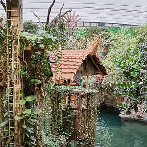 Crocodile Hall, Aquarium