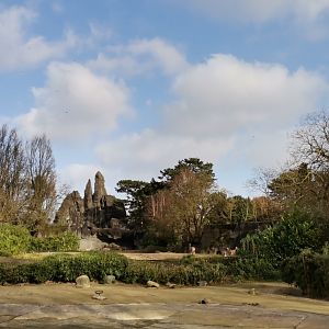 African panorama 1st level and the whole view, Flamingos and Waterfowl