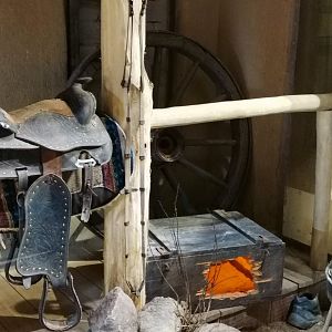 Western Diamondback Rattlesnake exhibit