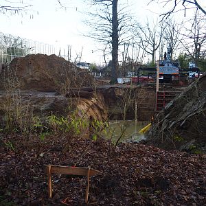 Orangutan project construction site update, 2022-01-30