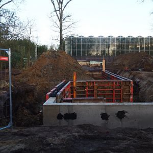 Orangutan project construction site update, 2022-01-30