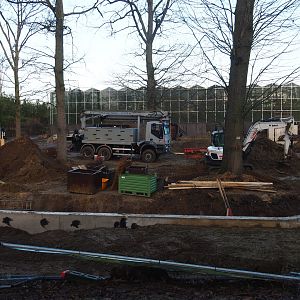 Orangutan project construction site update, 2022-01-30