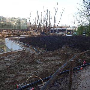 Orangutan project construction site update, 2022-01-30