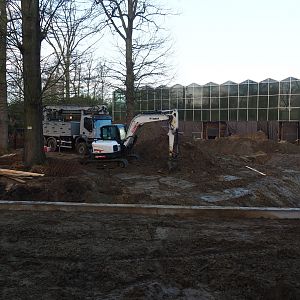 Orangutan project construction site update, 2022-01-30