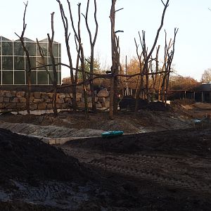 Orangutan project construction site update, 2022-01-30