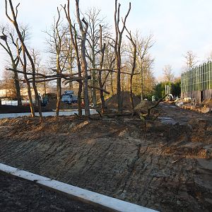 Orangutan project construction site update, 2022-01-30