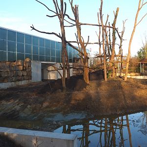 Orangutan project construction site update, 2022-01-30