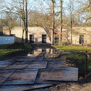 Construction of new antelope house, seen from near the Barbary macaques, 2022-01-30