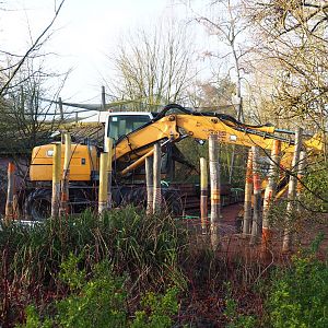 Oceania area renovation - Excavator and wood for construction, 2022-01-30