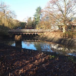 Oceania area renovation - Partially drained pond,  2022-01-30