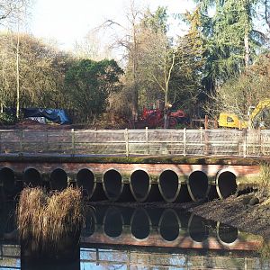 Oceania area renovation - Construction machines and bridge to koala house with covering removed,  2022-01-30