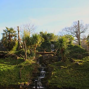 Spirit of the Jaguar outdoor enclosure