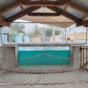 Jan. 2022 - Wild Florida - Manatee Critical Care Center