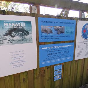 Jan. 2022 - Wild Florida - Manatee Critical Care Center